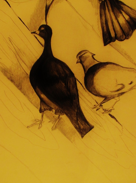 Drew these birds at Jones Beach State Park. My dad, with his Brooklyn accent, would call these, Da Byoids! 